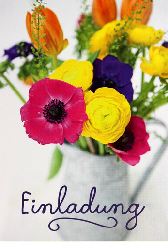 Einladung geburtstag feier - einladung,